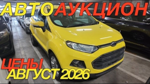 ЯПОНСКИЕ ТОРГИ СЕГОДНЯ / VOLKSWAGEN BEETLE FORD TOYOTA COROLLA FIELDER FORD ECOSPORT SUZUKI JIMNY